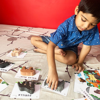 Jungle Kingdom – 5 Wild Animals with Flashcards for kids 1+