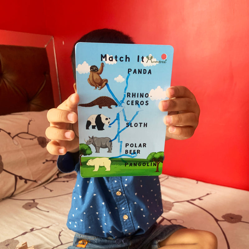 Jungle Kingdom – 5 Wild Animals with Flashcards for kids 1+