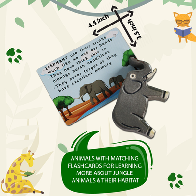 Jungle Kingdom – 5 Wild Animals with Flashcards for kids 1+