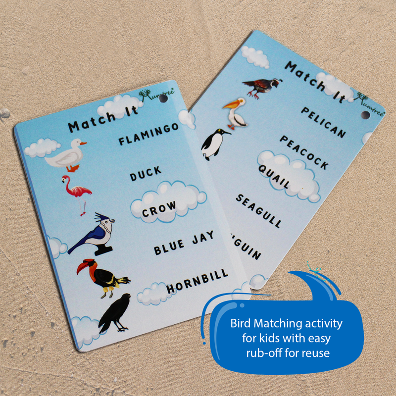 livinparadise Birds Box – 5 Wooden Birds with Flashcards for kids 1+