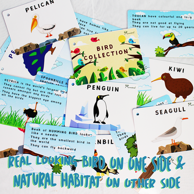 livinparadise Birds Box – 5 Wooden Birds with Flashcards for kids 1+