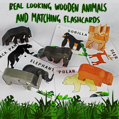 Jungle Kingdom – 5 Wild Animals with Flashcards for kids 1+