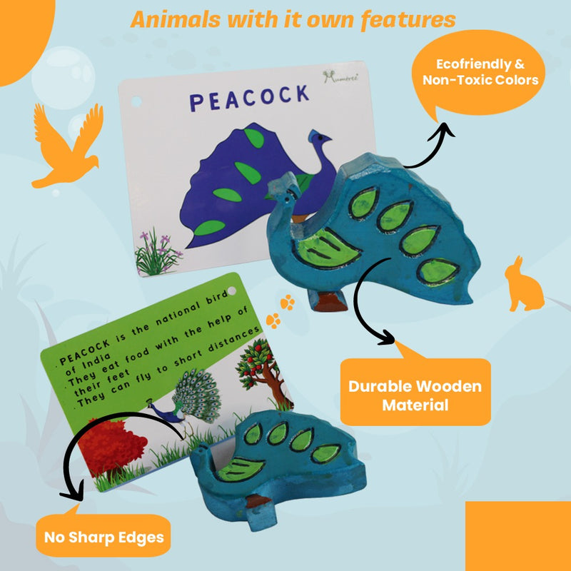 livinparadise Birds Box – 5 Wooden Birds with Flashcards for kids 1+